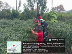 Ketahanan Pangan, Babinsa Melaksan Komsos di Desa Uning