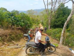 Warga Alur Pertik Gotong Royong Cari Kayu Bakar untuk Persiapan Pesta Pernikahan