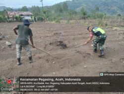 Wujud Kepedulian Babinsa dalam Ketahanan Pangan Bersama Masyarakat Desa Alur Badak