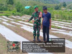 Wujud Kepedulian Babinsa dalam Melaksanakan Han Pangan Bersama Masyarakat Desa Ujung Gele