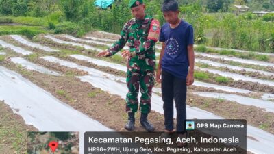 Wujud Kepedulian Babinsa dalam Melaksanakan Han Pangan Bersama Masyarakat Desa Ujung Gele