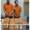 Sat Narkoba Polres Pelabuhan Belawan Gagalkan Peredaran 13 Kg Ganja, 2 Bandar Ditangkap