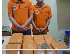 Sat Narkoba Polres Pelabuhan Belawan Gagalkan Peredaran 13 Kg Ganja, 2 Bandar Ditangkap