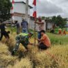 Babinsa 02/Wps Gencarkan Pemasangan Umbul-Umbul di Wilayah Binaan