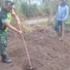 Wujud Kepedulian Babinsa Melaksanakan Han Pangan Bersama Masyarakat Desa Linung Ayu