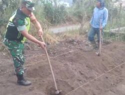 Wujud Kepedulian Babinsa Melaksanakan Han Pangan Bersama Masyarakat Desa Linung Ayu