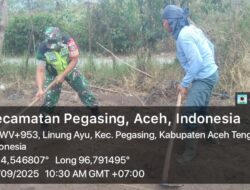 Dekat dengan Rakyat, Babinsa Bantu Petani di Desa Terang Ulen