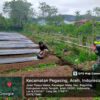 Kegiatan Binter Babinsa Koramil 03/Pegasing