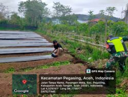 Kegiatan Binter Babinsa Koramil 03/Pegasing