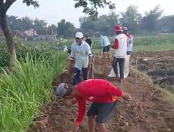 Kolaborasi Gapoktan dan Pengusaha Lahirkan Jalan Usaha Tani (JUT) di Desa Ganggang Tingan