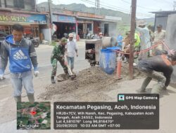 Babinsa Koramil 03/Pegasing Turun Tangan Bantu Pekerjaan Warga