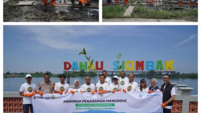 PELINDO Multi Terminal Group Tanam 11.000 Mangrove Bawa Manfaat Bagi Masyarakat