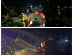 Brimob Polda Sumut Sigap Evakuasi Pohon Tumbang, Wujud Nyata Kehadiran di Tengah Masyarakat Pematangsiantar