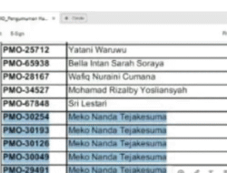Amburadurnya Hasil Seleksi Administrasi Project Management Officer (PMO) Koperasi Merah Putih Yang Dikelola Oleh Kementerian Koperasi dan UKM (Kemenkop UKM)