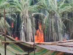 Muba Darurat Usaha Ilegal: Minyak, Pasir, dan Uang Haram Mengalir Deras