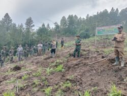 Hijaukan Desa, Koramil 04/Bintang Gelar Penanaman Pohon Bersama Masyarakat