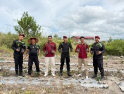 Karutan Bener Meriah Genjot Ketahanan Pangan Melalui Budidaya Kopi Sebagai Komuditas Unggulan di Bener Meriah