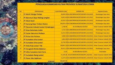 Delapan Perusahaan Dikenai Sanksi Administratif Terkait Kerusakan Lingkungan di Sumatera Utara