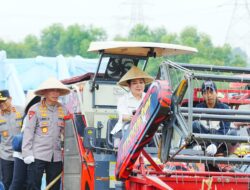 Dukung Ketahanan Pangan Nasional, Polda Sumut dan Polres Jajaran Ikuti Panen Raya Jagung Serentak Polri