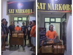 Bawa 26 Kg Ganja, Pelaku Narkotika Ditangkap Usai Coba Kabur dari Polisi