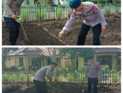 Dari Lahan Kosong Jadi Sumber Pangan, Brimob Sumut Kembangkan P2L di Batalyon C