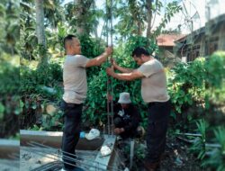 Gerimis Tak Surutkan Langkah Brimob Polda Sumut Bangun Hunian Warga Terdampak Banjir di Tapsel