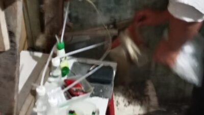 Polres Binjai Kembali Grebek Dan Musnahkan Barak Narkoba Di Kecamatan Binjai Barat