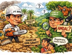 Tanpa Amdal, PT RPR Diduga Buka Hutan Primer Dekat Hutan Lindung Muara Batang Gadis Sumut