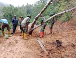Satgas Gulbencal Kodim 0106/Aceh Tengah Gerak Cepat Bersihkan Longsor di Desa Lelumu Akses Warga Kembali Normal