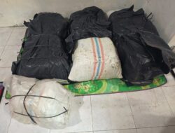 Jaringan Ganja Nagan Raya–Aceh Utara Terbongkar, Satu Pelaku Diamankan