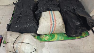 Jaringan Ganja Nagan Raya–Aceh Utara Terbongkar, Satu Pelaku Diamankan