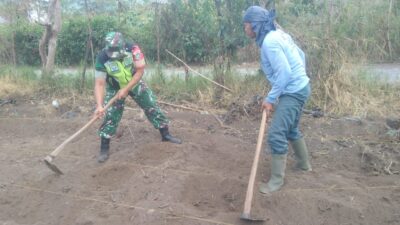 Wujud Kepedulian, Babinsa Koramil 03/Pegasing Laksanakan Komsos dan Pendampingan Hanpangan di Desa Linung Ayu