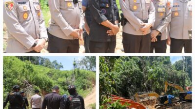 Polda Sumut Bongkar Tambang Emas Ilegal Beromzet Miliaran, 17 Orang dan 14 Ekskavator Diamankan