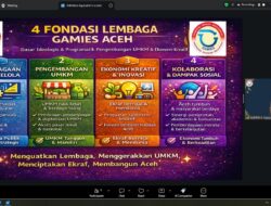 UMKM Kini Bisa Punya Website Tanpa Coding, Tuntas Dibahas Webinar GAMIES