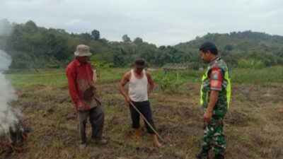 BREAKING NEWS   Babinsa Koramil 08/Silih Nara Dampingi Warga Siapkan Lahan Cabe di Aceh Tengah
