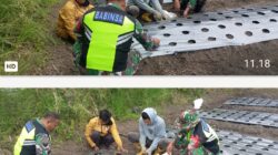 Babinsa Koramil 01/Lut Tawar Komsos Bersama Petani Bawang Merah di Pedemun