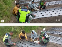Babinsa Koramil 01/Lut Tawar Komsos Bersama Petani Bawang Merah di Pedemun