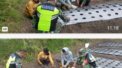 Babinsa Koramil 01/Lut Tawar Komsos Bersama Petani Bawang Merah di Pedemun