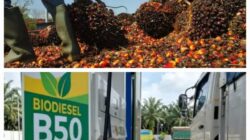 Percepat B50, Hemat Triliunan dan Perkuat Kemandirian Nasional