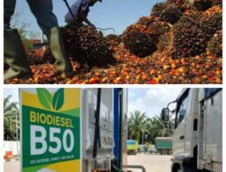 Percepat B50, Hemat Triliunan dan Perkuat Kemandirian Nasional