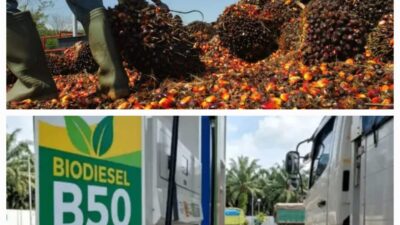 Percepat B50, Hemat Triliunan dan Perkuat Kemandirian Nasional