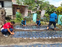 Jumat Bersih, Warga Timang Gajah Kompak Bersihkan Lingkungan dan Tanam Tanaman Produktif