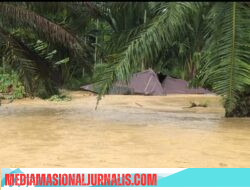 Lima Bulan Pasca Banjir, Lansia Aceh Utara Masih Terlantar: Janji Tinggal Janji, Bantuan Tak Kunjung Datang”