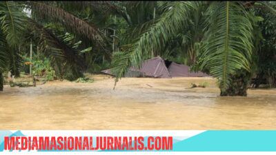 Lima Bulan Pasca Banjir, Lansia Aceh Utara Masih Terlantar: Janji Tinggal Janji, Bantuan Tak Kunjung Datang”