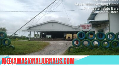 Profesor Sutan Nasomal Harap Presiden Prabowo Instruksikan Kepala Daerah Gandeng Swasta Bangun Jalan