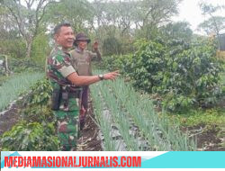 Babinsa Koramil 02/Bebesen Turun Langsung Dampingi Petani, Optimalkan Pertumbuhan Bawang Merah