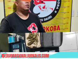 Simpan Sabu, Ekstasi Hingga Ganja, Warga Parbuluan Diringkus Polres Dairi