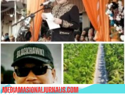 Pembina TMP-TP, Prof Sutan Nasomal SH Sambut Hangat dan Positif Pidato Wagub Aceh Di Hari Jadi Ke 27 Aceh Singkil