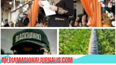 Pembina TMP-TP, Prof Sutan Nasomal SH Sambut Hangat dan Positif Pidato Wagub Aceh Di Hari Jadi Ke 27 Aceh Singkil