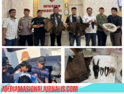 Perdagangan Ilegal Satwa Dilindungi Digagalkan di Sipirok, Polisi Amankan Sisik Trenggiling hingga Kulit Kijang